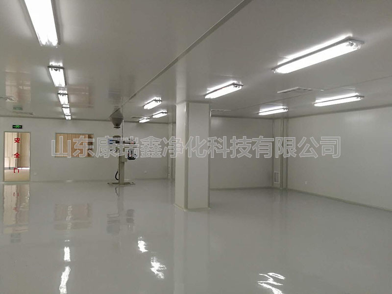 食品加工车间净化工程