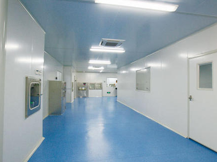 制药厂净化车间走廊 制药厂净化车间走廊
